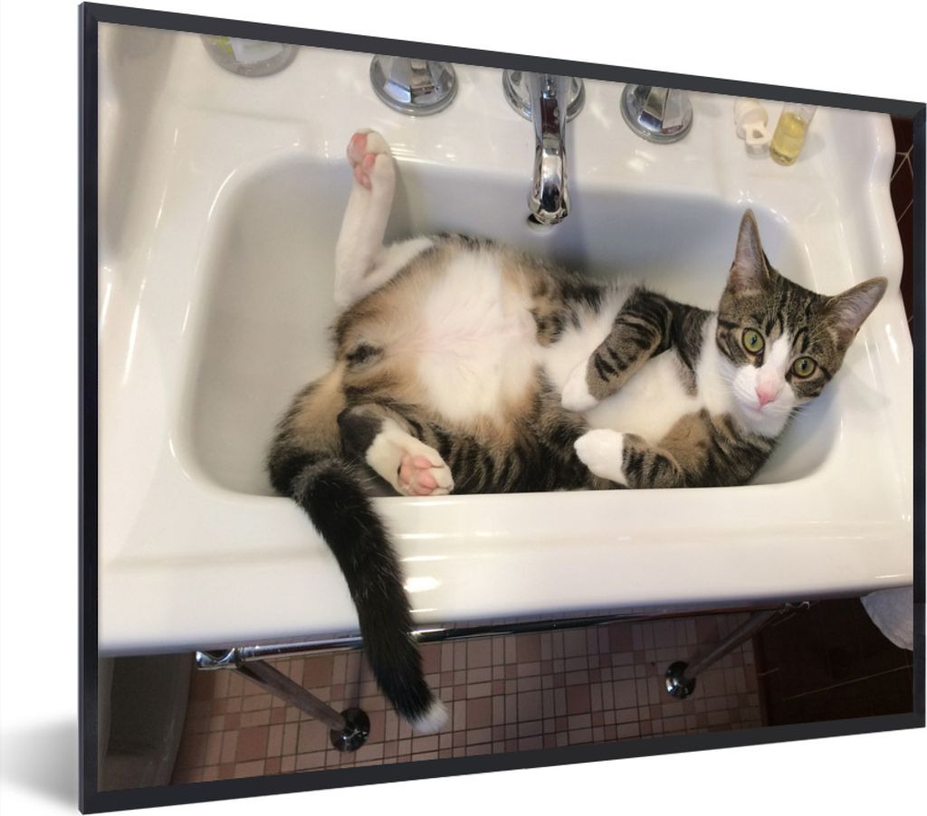 MuchoWow MuchoWow Gerahmtes Poster Katze - Waschbecken - Badezimmer 80x60 cm - Poster mit zchwarzem Bilderrahmen - Schwarzem - Mit Gestell