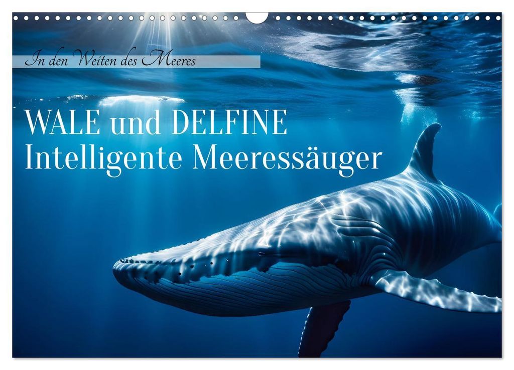 Wale und Delfine - Intelligente Meeressäuger (Wandkalender 2027 DIN A3 quer), CALVENDO Monatskalender