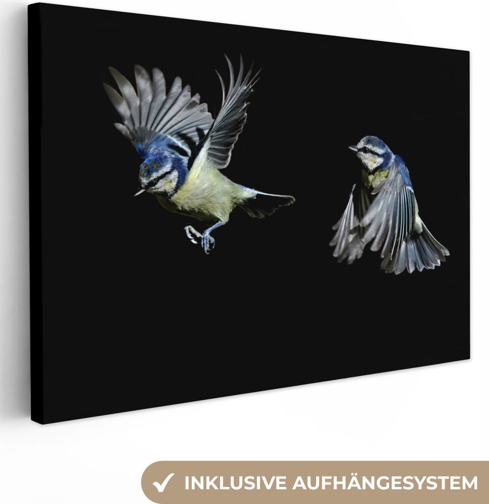 OneMillionCanvasses - Leinwandbilder - 150x100 cm, Vogel - Federn - Porträt, Wandbilder Kunstdruck Wanddekoration