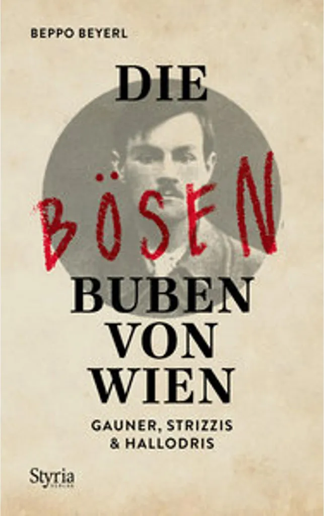 Livre d'histoire Die bösen Buben von Wien pour passionnés de polar