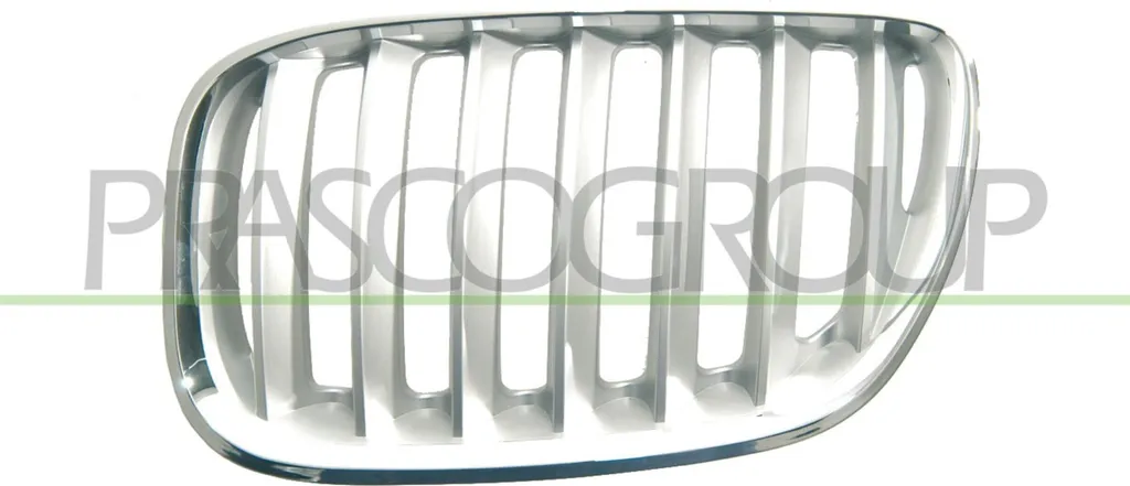 Remplacer Grille de Calandre Gauche BMW X5 E53 - Pièce Adaptable Qualité