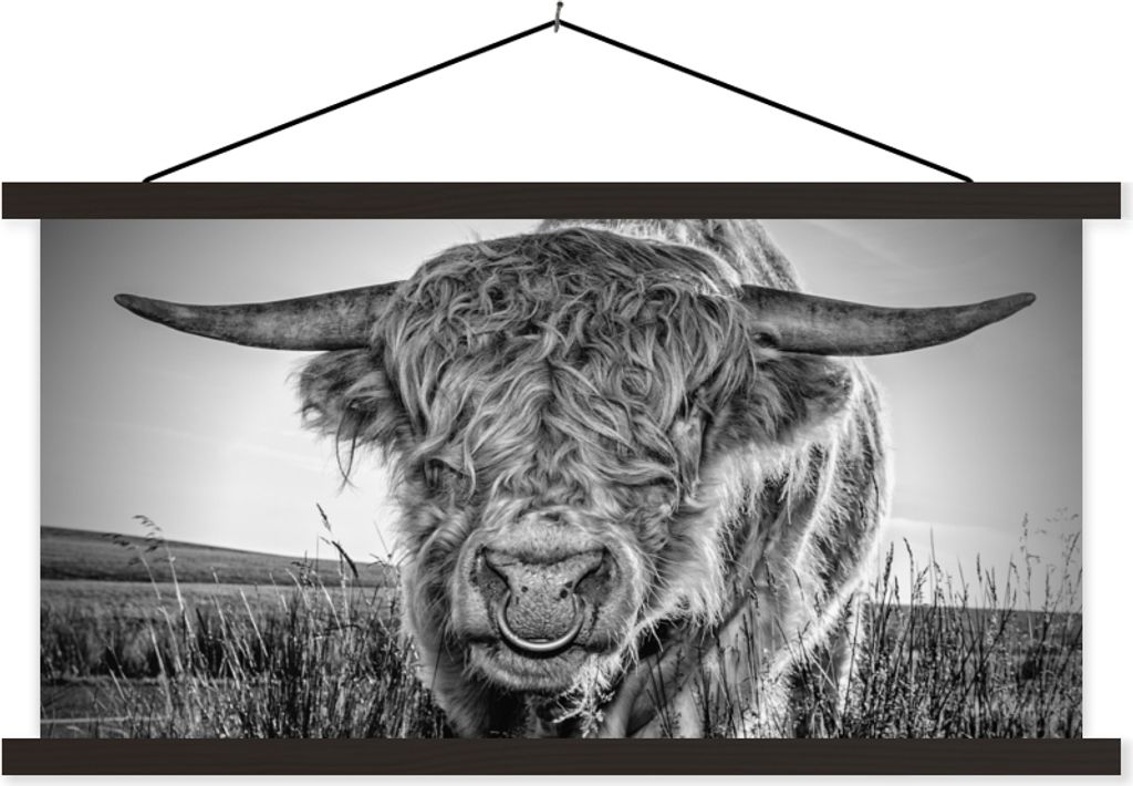 MuchoWow Textilposter Schottisches Hochlandrind - Schwarz und Weiß 150x75 cm mit schwarzem Rahmen - Posterleiste