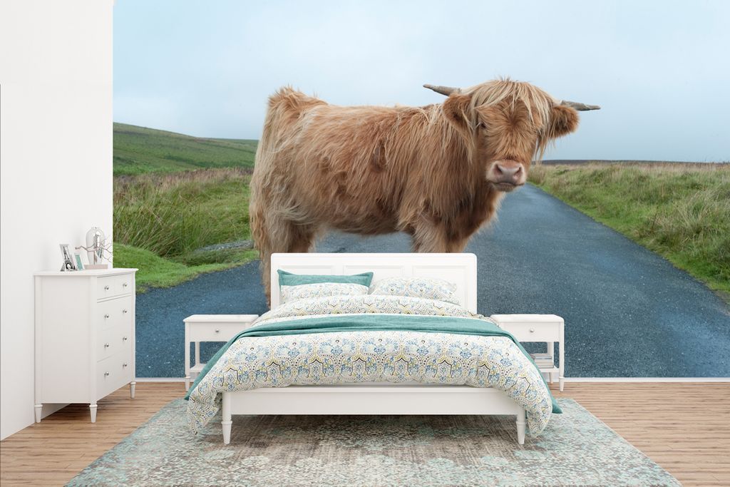 MuchoWow Fototapete für Wohnzimmer oder Schlafzimmer Wandtapete Vinyl Motivtapete Scottish Highlander - Straße - Gras - 400x240 cm - Gemustert