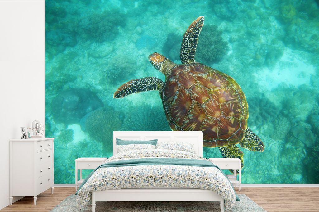 MuchoWow Fototapete für Wohnzimmer oder Schlafzimmer Wandtapete Vinyl Motivtapete Eine grüne Schildkröte im klaren blauen Wasser - 330x220 cm ...