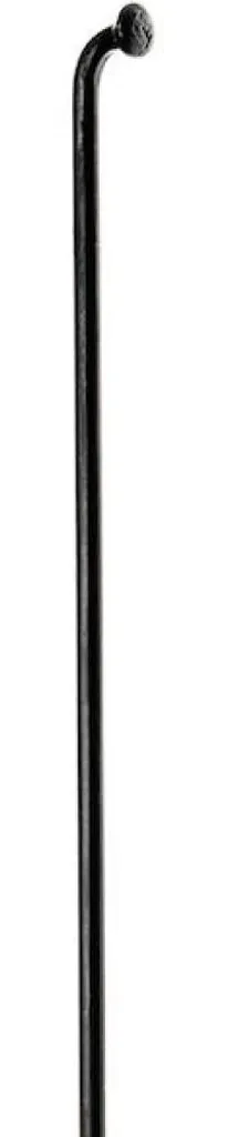 Rayon de vélo DT Swiss Champion 2.0 Noir 244 mm - Boîte de 100 rayons