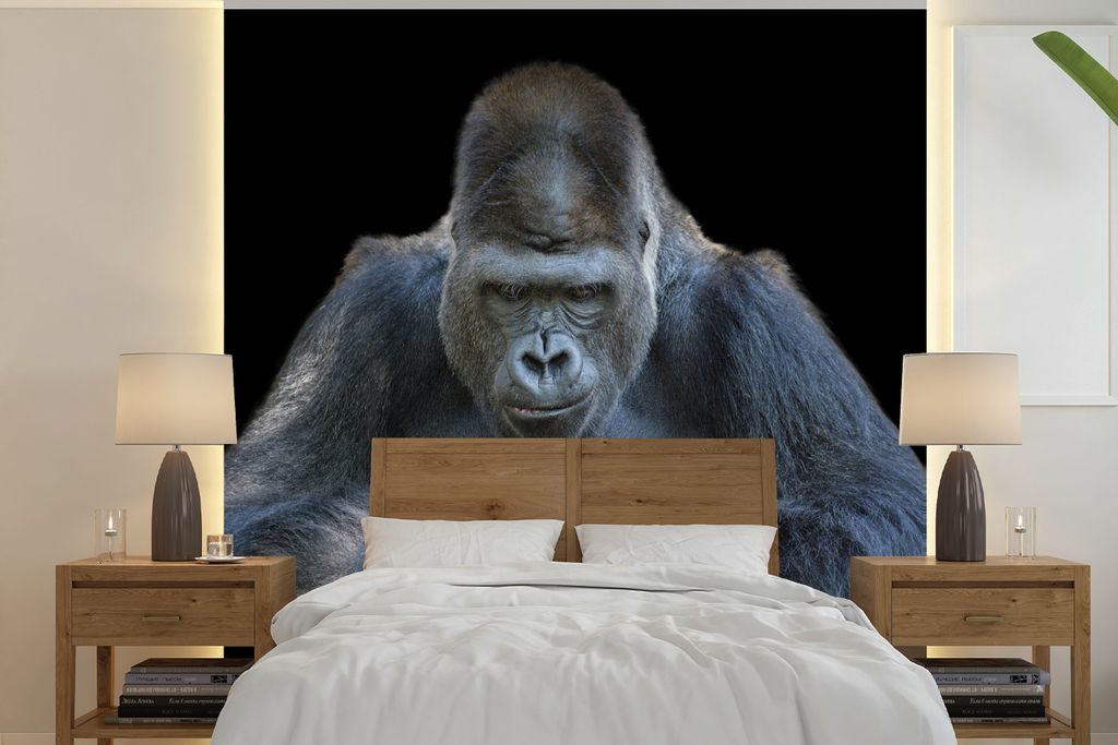 MuchoWow Fototapete für Wohnzimmer oder Schlafzimmer Wandtapete Vinyl Motivtapete Ein Gorilla schaut eindrucksvoll in die Kamera - 260x260 cm - ...