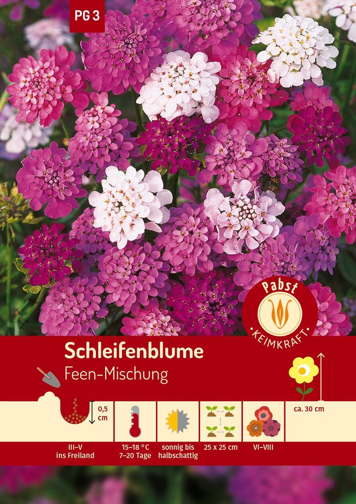 Artikelbild 1 von 'Schleifenblume Feen-Mischung' aus der Kategorie Blumensamenmischung