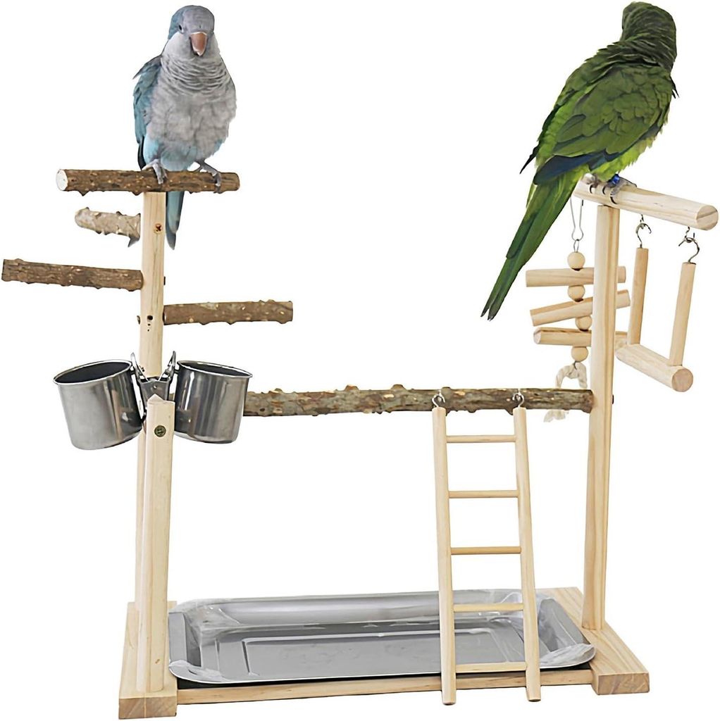 Kletterleiter + Plattform + Becher – komplettes Kletterset für Wellensittiche und Nymphensittiche
