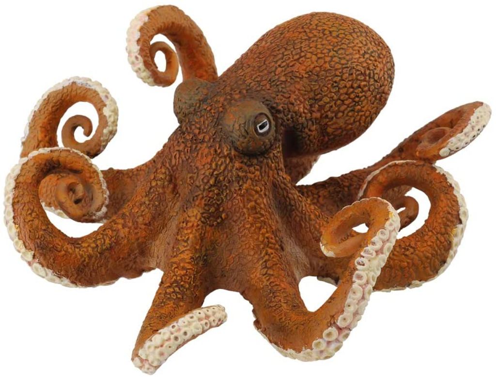 Collecta – 3388485 – Figur – Meerestiere – | Kaufland.de