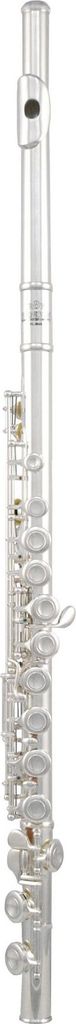 ROY BENSON FL-402 E Konzert