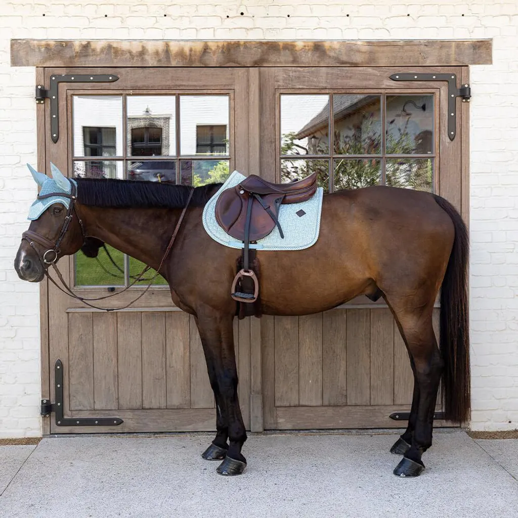 Sottosella Kentucky Velvet Pony Azzurro - Collezione Jumping Deluxe - 1