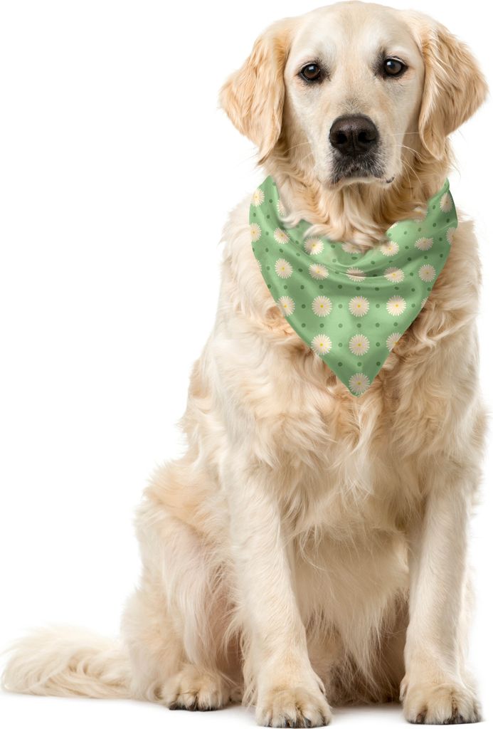 ABAKUHAUS Garten Haustier Bandana, Frühling Pflanzen Yard, 55x55 cm, Hellgrün Creme Gelb