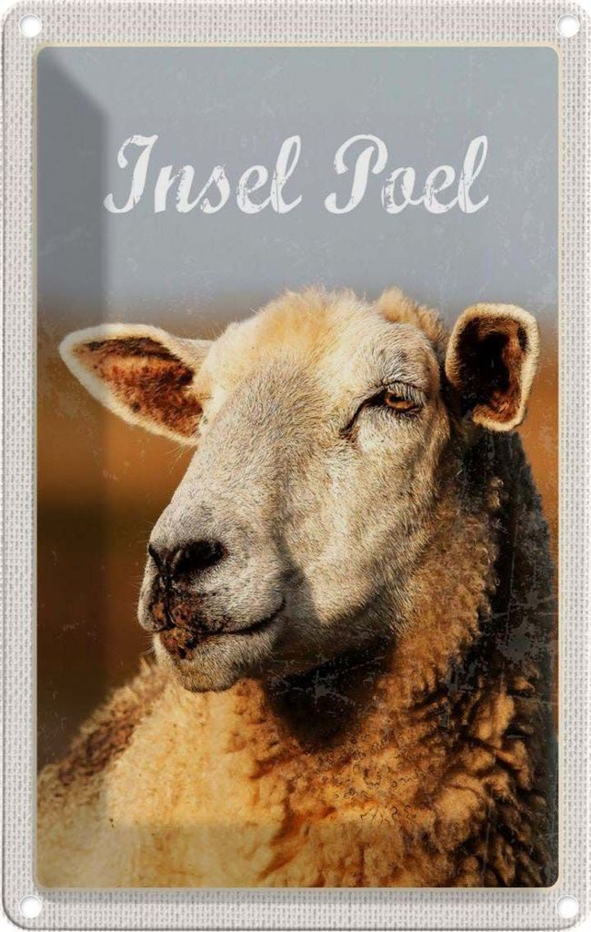 vianmo Blechschild 30x20 cm Insel Poel Schaf Natur Weide Bildmotiv Reisemotiv Abenteuer Reisen Urlaub