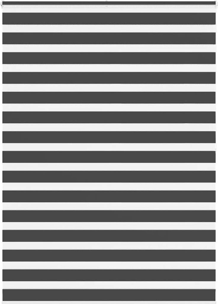 Maison Exclusive - Doppelrollo Schwarz 160x200 cm Stoffbreite 155,9 cm Polyester