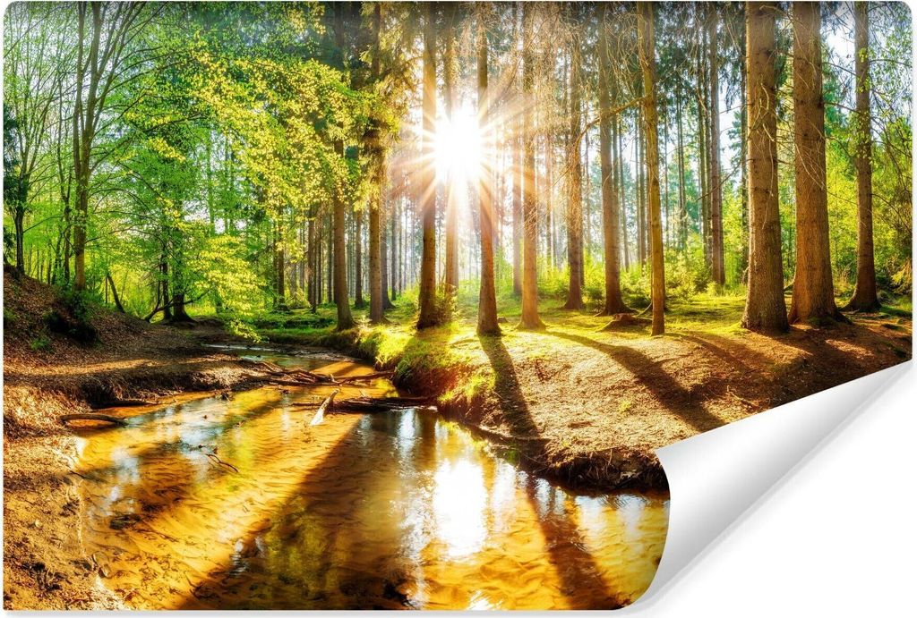 Muralo Vlies Fototapete WALD Sonne Bäume Natur Landschaft 3D Br. 460cm x Hö. 300cm