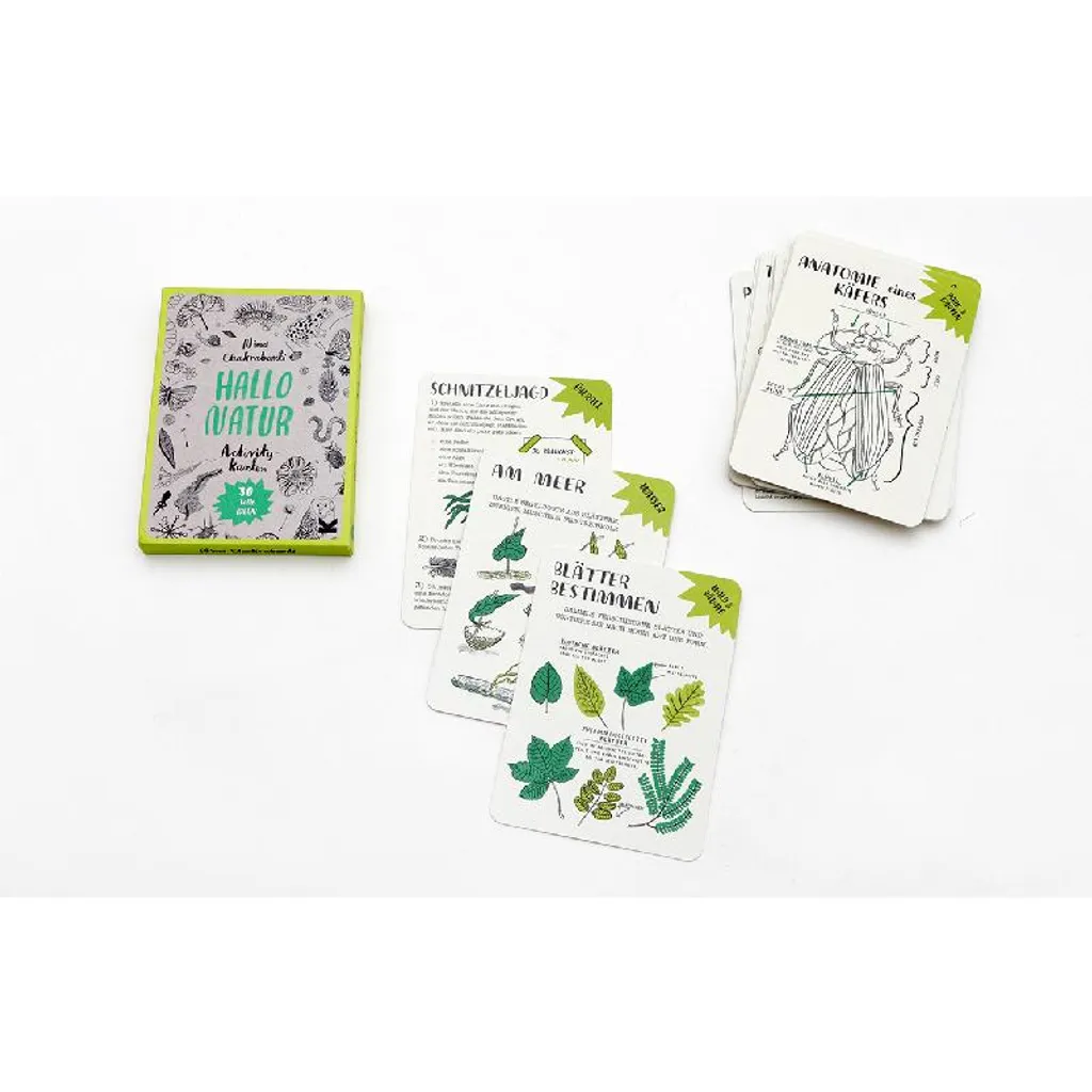 Cartes Hello Nature illustrées : kit d'exploration ludique et durable - 5