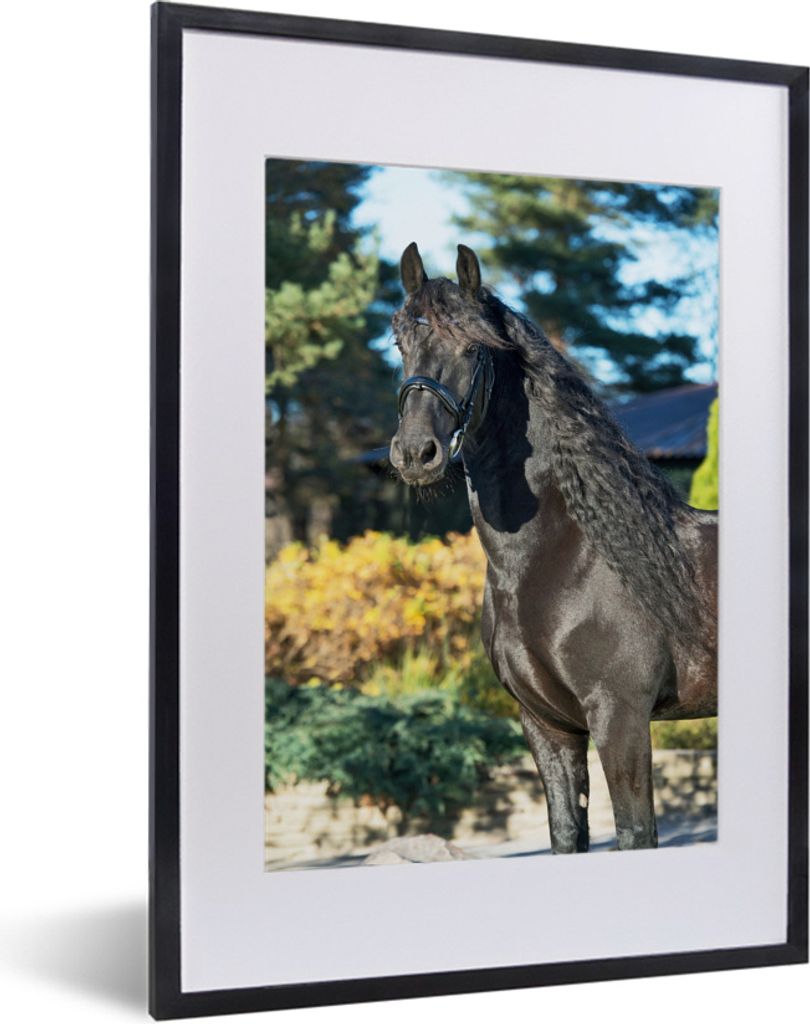 MuchoWow MuchoWow Gerahmtes Poster Sonne - Friesisch - Pferd 30x40 cm - Poster mit zchwarzem Bilderrahmen - Wandposter Schlafzimmer