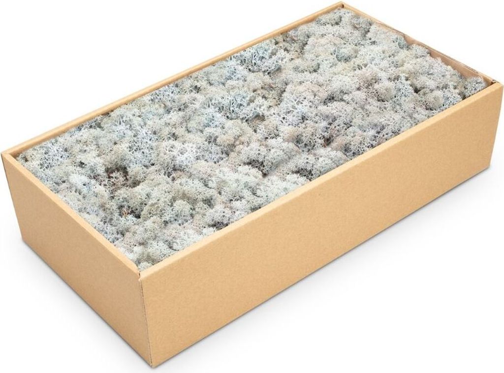 Islandmoos 500g in 30 Farben – Konserviertes Rentiermoos Natur, Farbe:Eisblau
