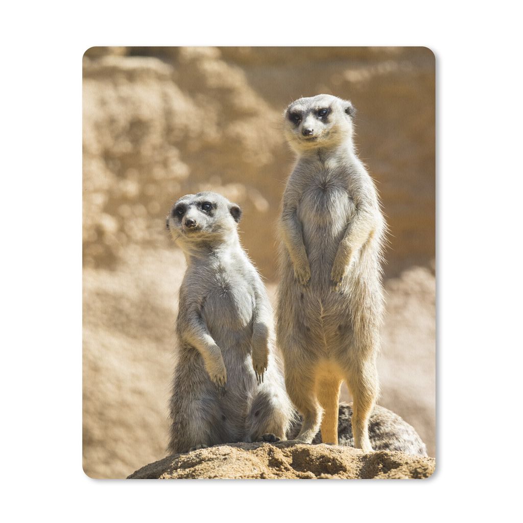 MuchoWow Mauspad Mousepad Felsen - Erdmännchen - Tiere 19x23 cm - Mousepads - Maus Mat - Pad - Mausunterlage - Mauspads - Spielen