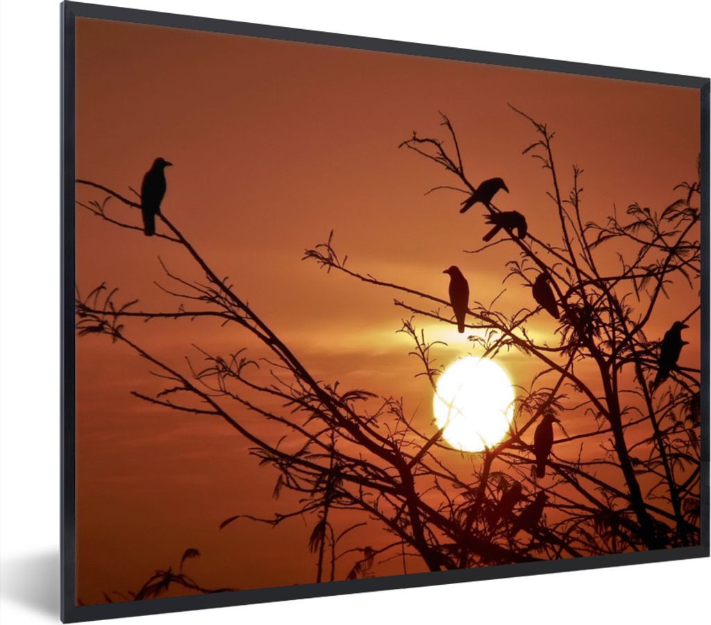 MuchoWow Gerahmtes Poster Sonne - Krähe - Zweig 40x30 cm - Poster mit Schwarzem Bilderrahmen Wandposter Rahmen Foto Bilder - Kunstposter - Wandd...