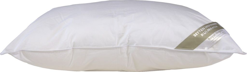 Hofmann Franken Kissen Kopfkissen Federkissen 60x80 cm 15% Daunen 750g waschbar