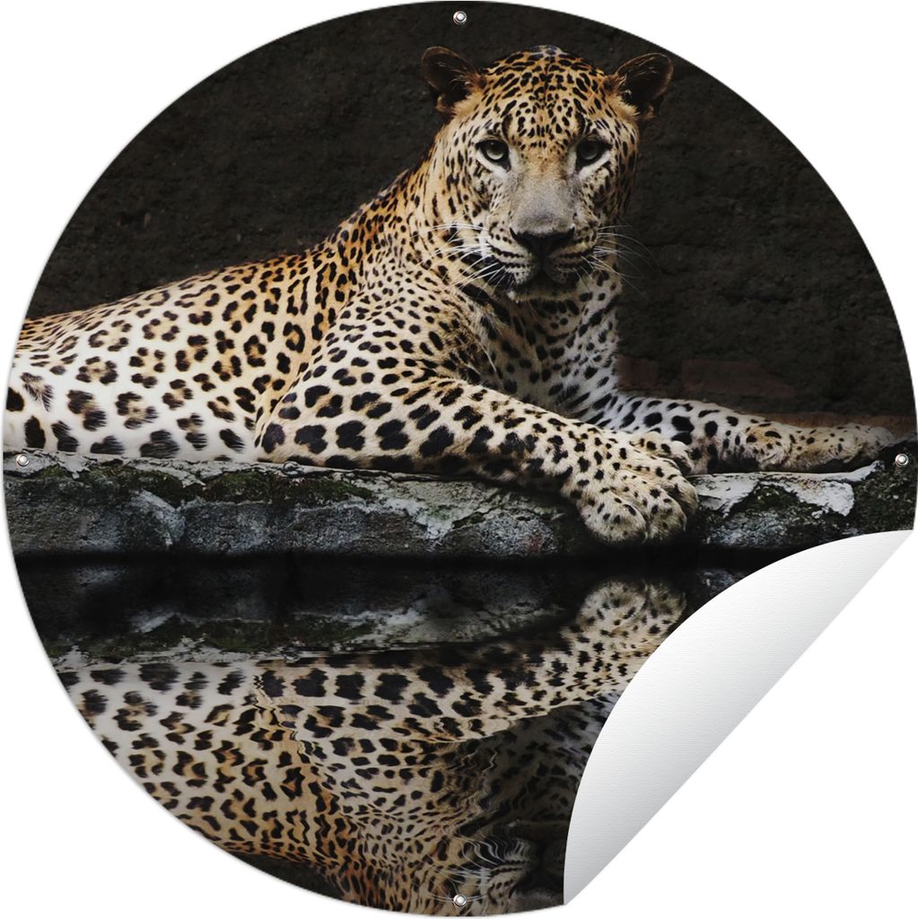 MuchoWow Gartenposter Outdoor-Poster Rund Leopard - Wasser - Wald Ø 90 cm Gartendeko Rundes Poster draußen