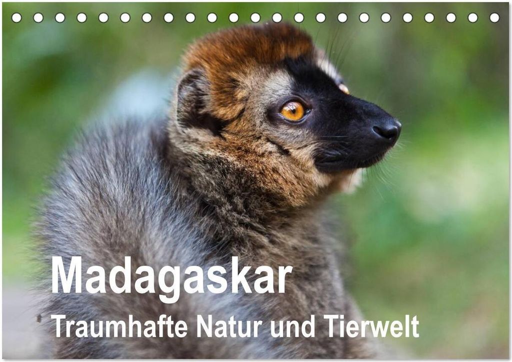 Madagaskar. Traumhafte Natur und Tierwelt (Tischkalender 2026 DIN A5 quer), CALVENDO Monatskalender