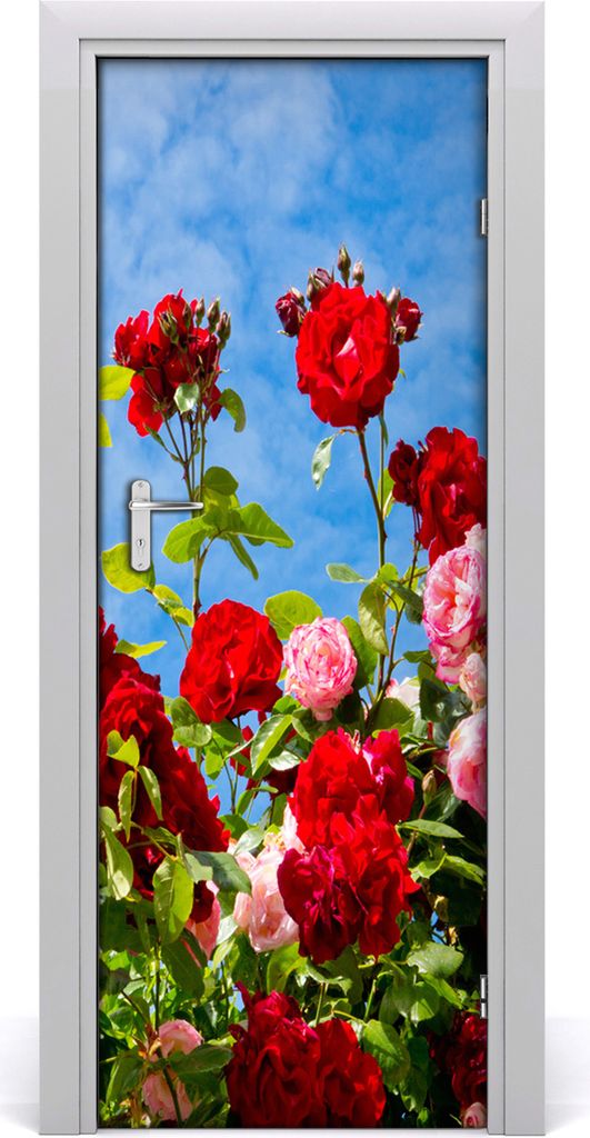 Tulup Türaufkleber 75x205 cm Dekorative Aufkleber Selbstklebend Wasserdichte Tapete Abnehmbar Schlafzimmer Wohnzimmer Wohnkultur - Hagebutte Wand