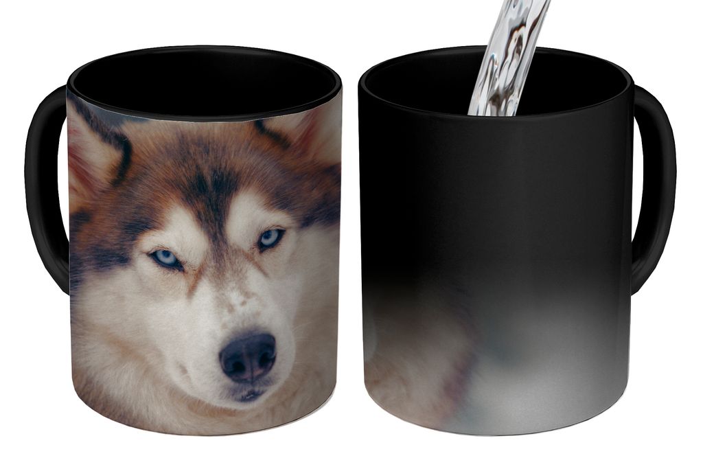 KitchenYeah Zauber Tasse Zaubertasse Magic Porträt eines Huskys 350 ml Farbwechsel Becher Geschenk Geschenkidee - Magic-Tasse - Fototasse - Kera...