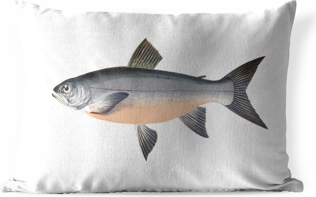 MuchoWow Outdoor Kissen - Fisch - Orange - Hering - 60x40 cm - Wetterfest - Lounge Kissen - Zierkissen - Kissen für Innenräume