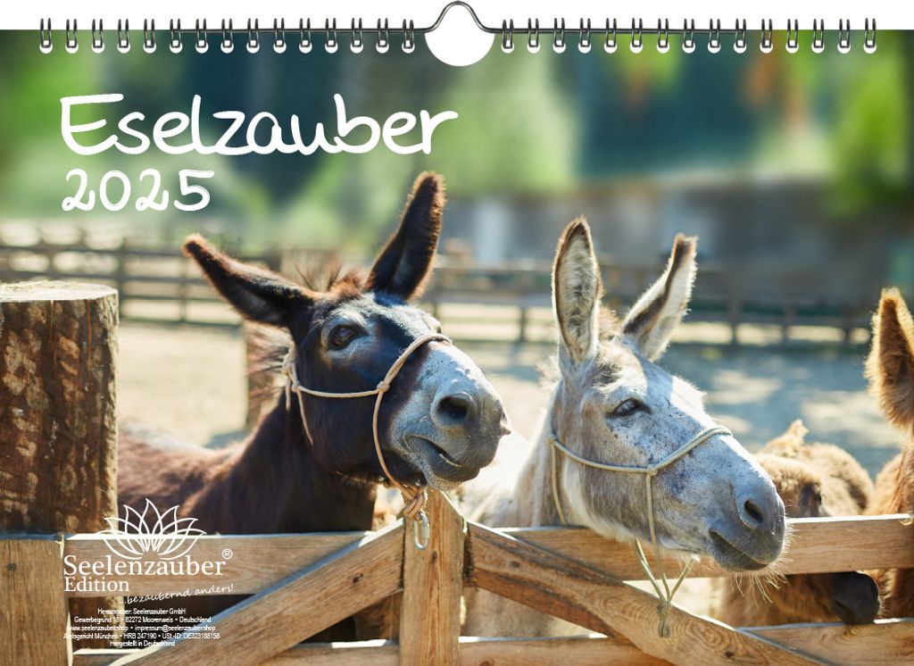 Eselzauber DIN A4 Kalender für 2025 Esel - Seelenzauber