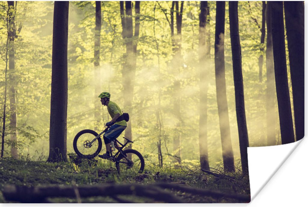MuchoWow Poster Mit dem Mountainbike durch die Wälder Dänemarks 60x40 cm - Schlafzimmerdekoration