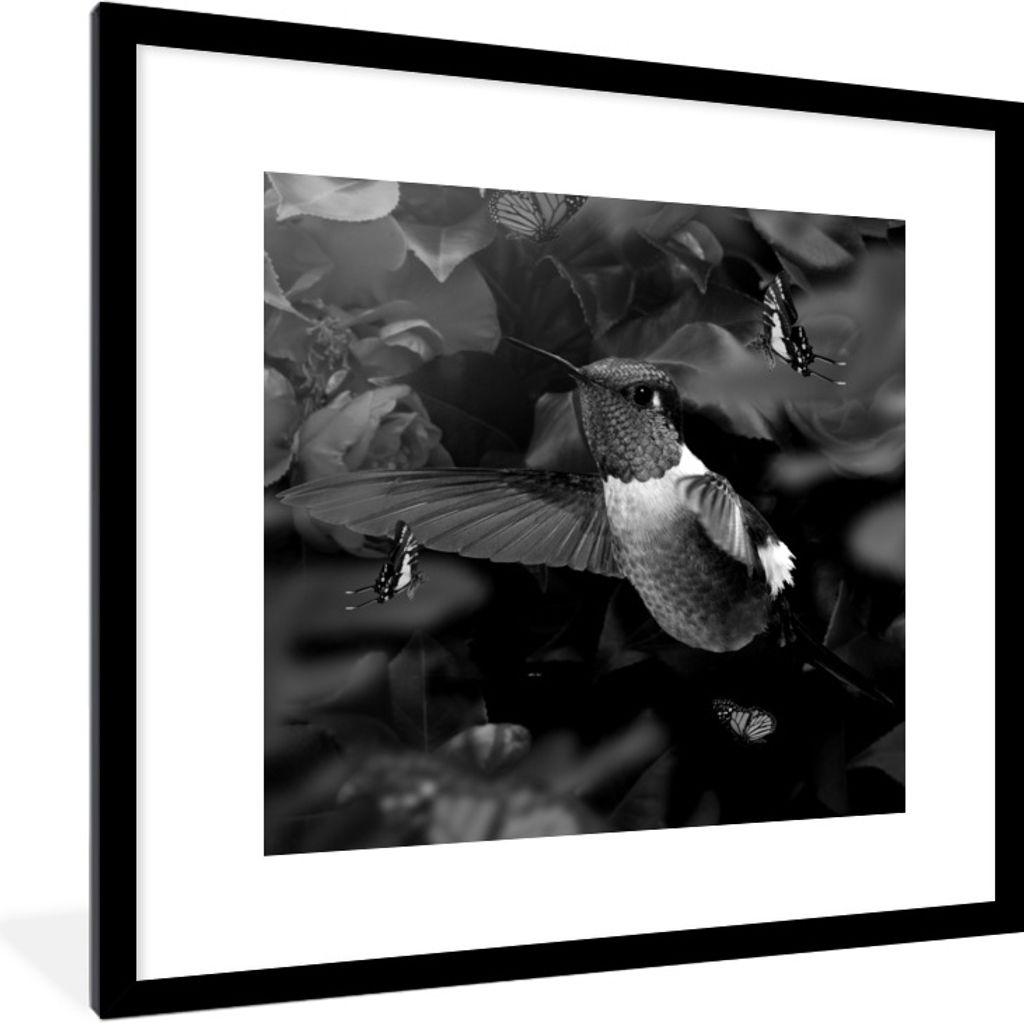 MuchoWow Gerahmtes Poster Kolibri zwischen rosa Blumen und Schmetterlinge - schwarz und weiß 40x40 cm - Poster mit Schwarzem Bilderrahmen Wandpo...