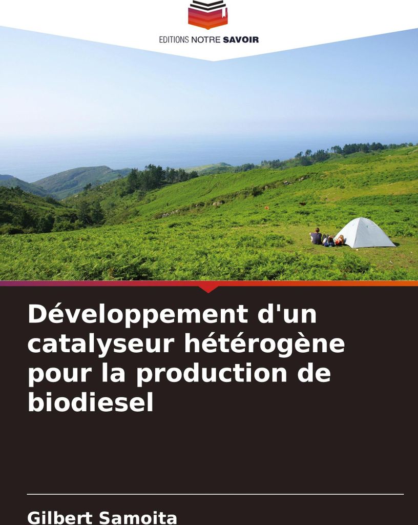 Développement d'un catalyseur hétérogène pour la production de biodiesel