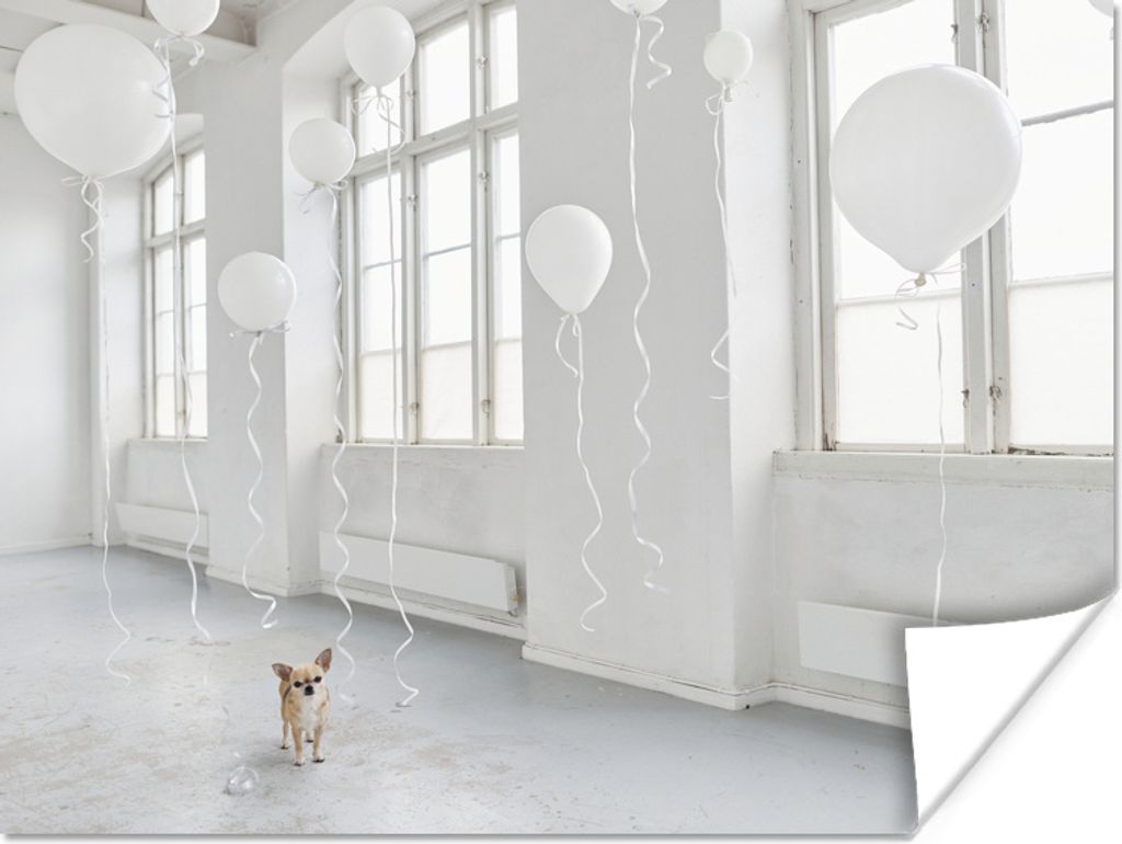 MuchoWow Poster Hund - Weiß - Luftballon 80x60 cm - Kunst für zu Hause