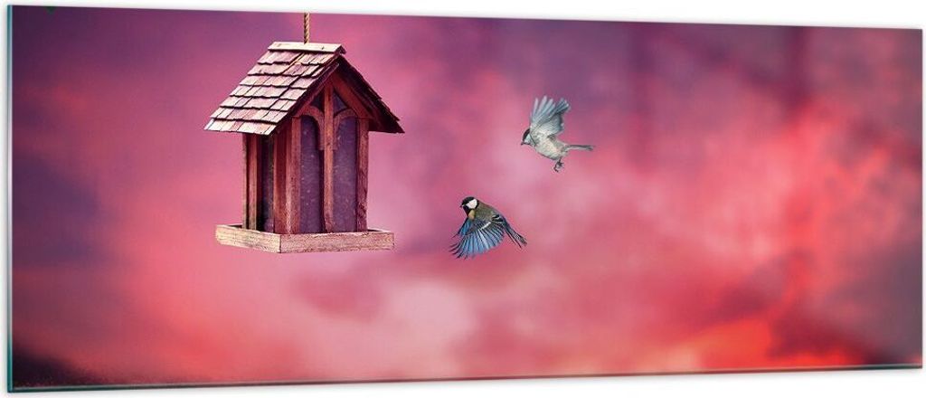 Bilder auf glas - Vögel Wiese Garten Dekoration - 140x50cm - Glasbilder - Wandbilder - Kunstdruck - zum Aufhängen bereit - Wanddekoration aus Gla...