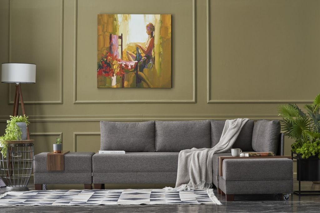 Hanah Home, Fly- BLC1004, Braun, Schlafsofas, Rahmen: Holz / Faserplatten