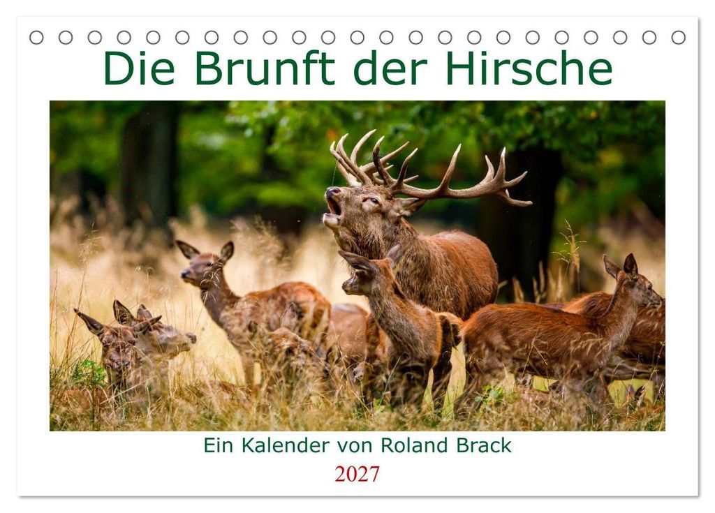 Die Brunft der Hirsche (Tischkalender 2027 DIN A5 quer), CALVENDO Monatskalender