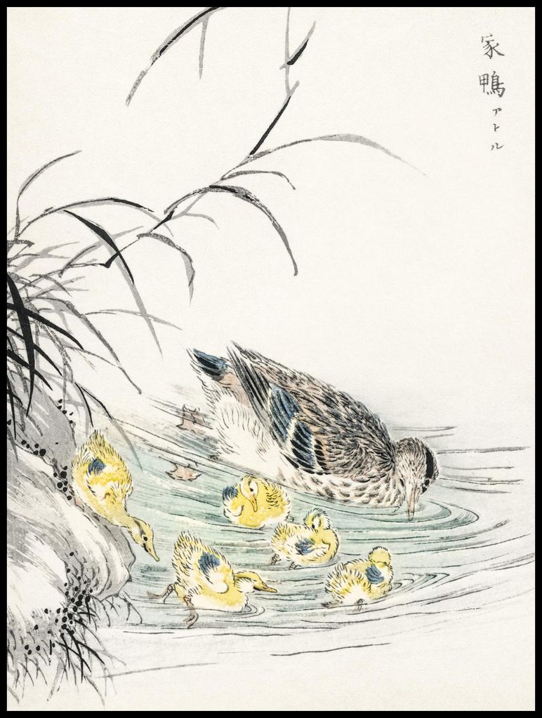 Plakat 75x100cm Ente, Japanischer Vintage Kashu für das Wohnzimmer