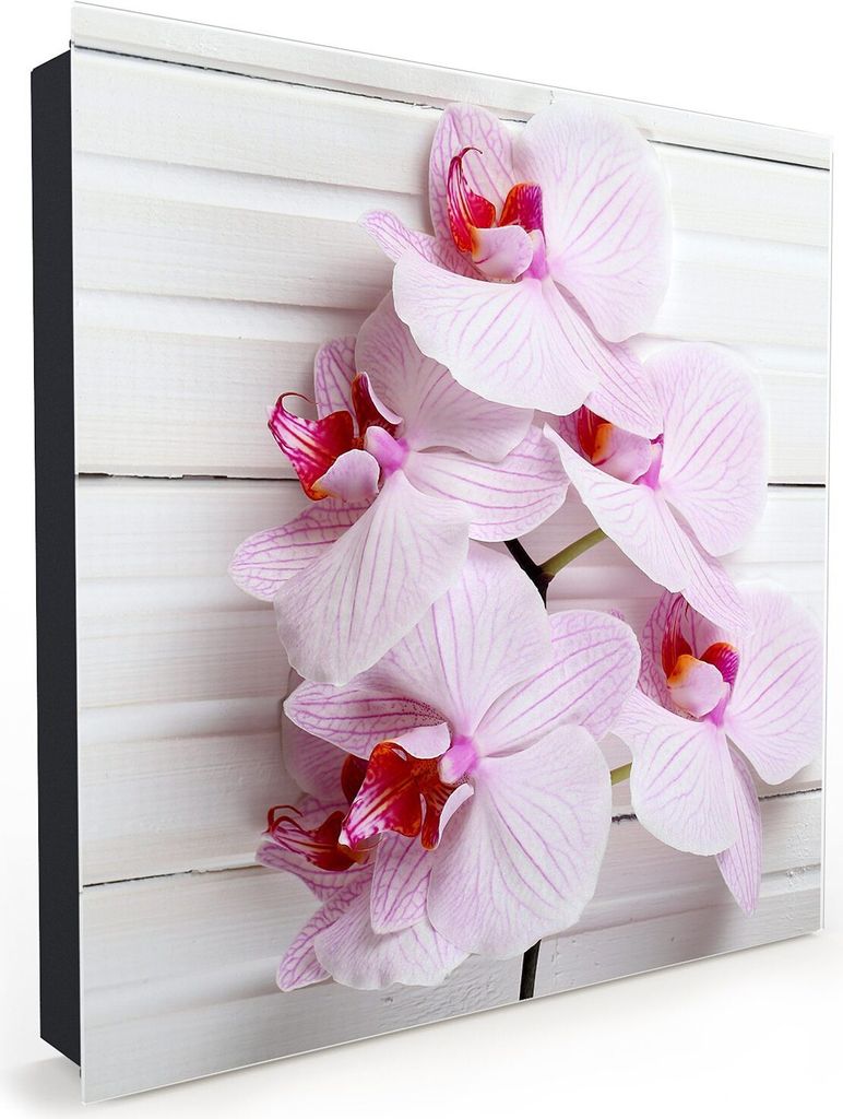 Nachbildung-Schlüsselkasten, Magnetpinnwand und Memoboard mit Glasfront Motiv Orchidee auf Holzplatte