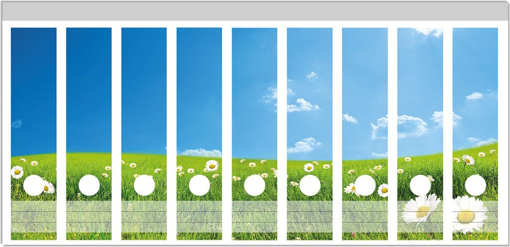 Wallario Ordnerrücken Sticker, selbstklebend für breite Ordner, 9 Stück, Motiv Sommerwiese - Weiße Gänseblümchen vor blauem Himmel