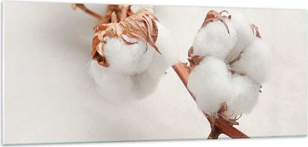 Bilder auf glas - Einteilig - Baumwolle Makro Zweig - 100x40cm - Glasbilder - Wandbilder - Bilder - zum Aufhängen bereit - Wanddekoration aus Glas...