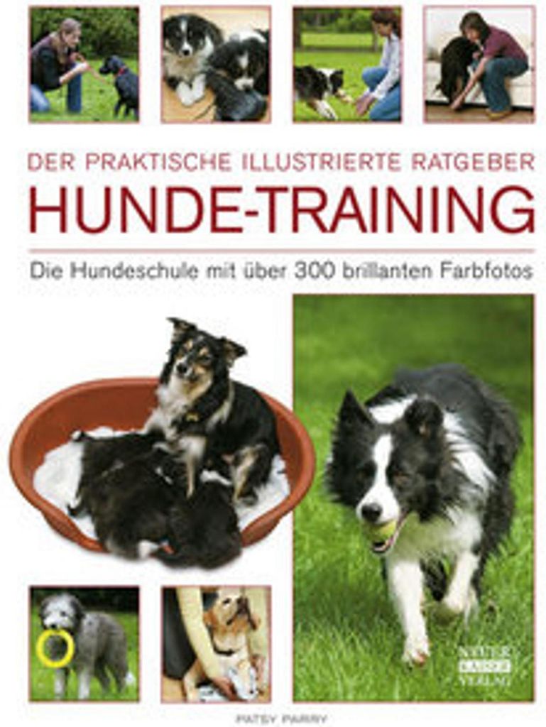 Hunde-Training