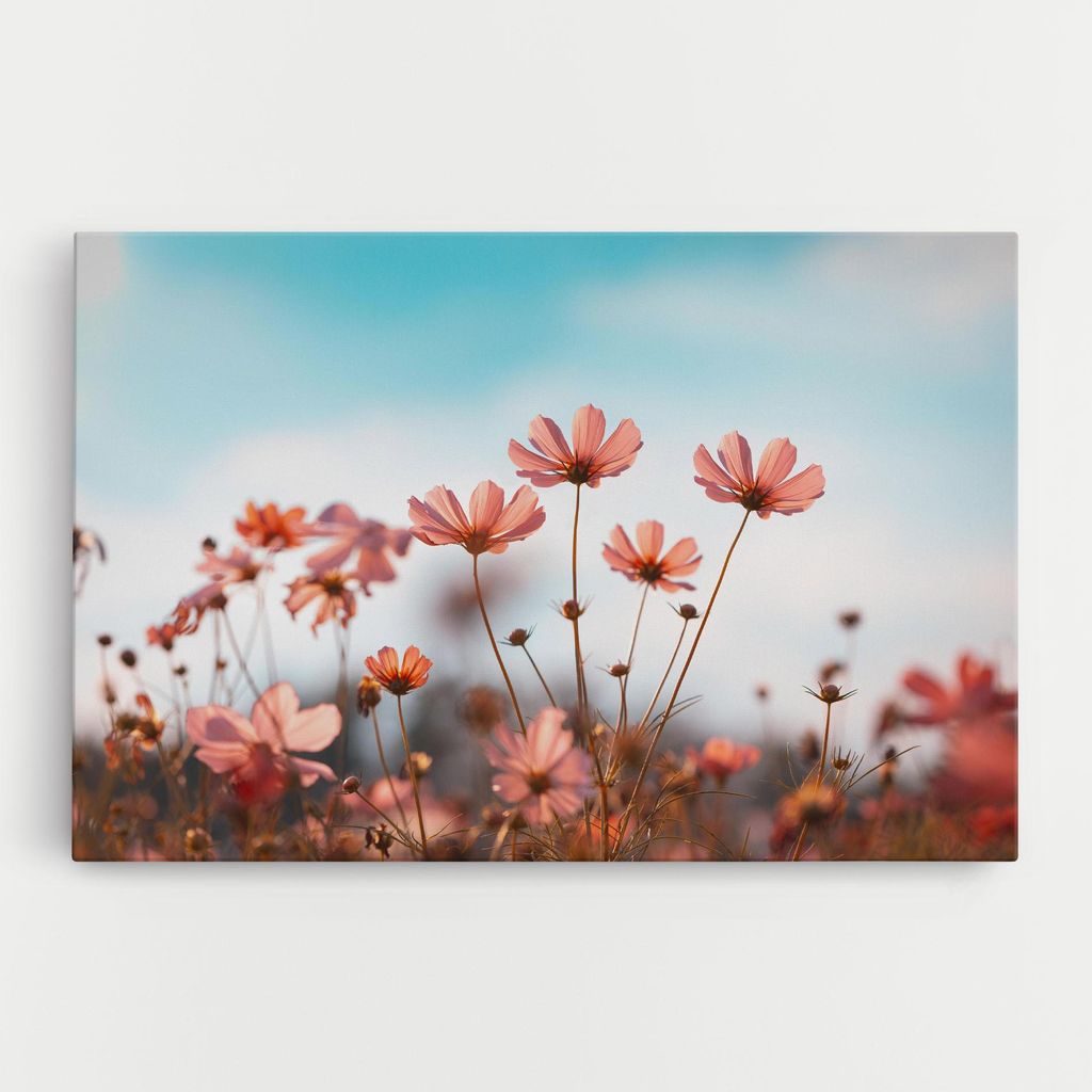 ARTHUB Leinwandbild 20x30 cm, Cosmos Flowers Beautiful | Wohnzimmerdekoration, Hängende Bilder, Wanddekoration, Heimdekoration, Blumen, Blumen i...