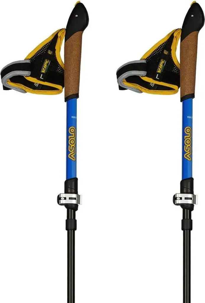 Bâtons Asolo Traveller Dlx Argent : Soulagez vos Genoux en Randonnée