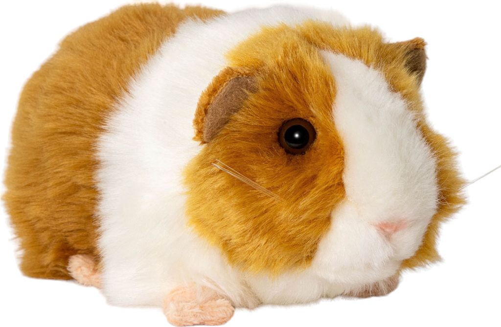A plush toy guinea pig on a white background.