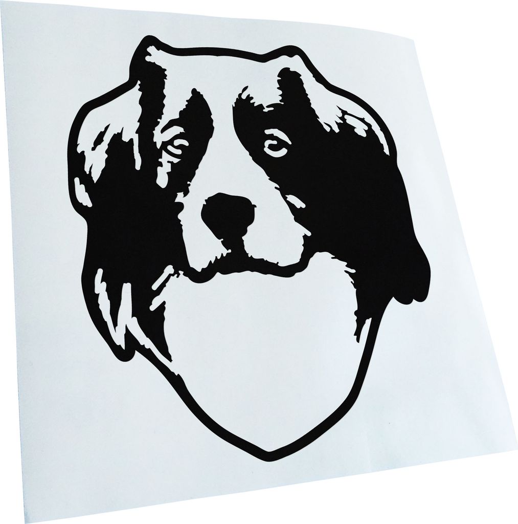 Kiwistar - Autoaufkleber - kooikerhondje Hund - Schwarz - 60x50cm - Aufkleber für Auto, Laptop, Fahrrad, LKW, Motorrad mehrfarbig JDM Decal Racing