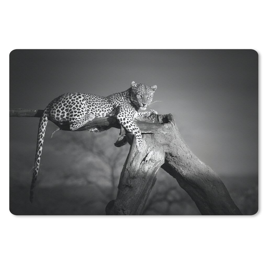 MuchoWow Schreibtischunterlage Panther - Baum - Tiere - Schwarz - Weiß 60x40 cm - XXL Mauspad - Großes Mauspad