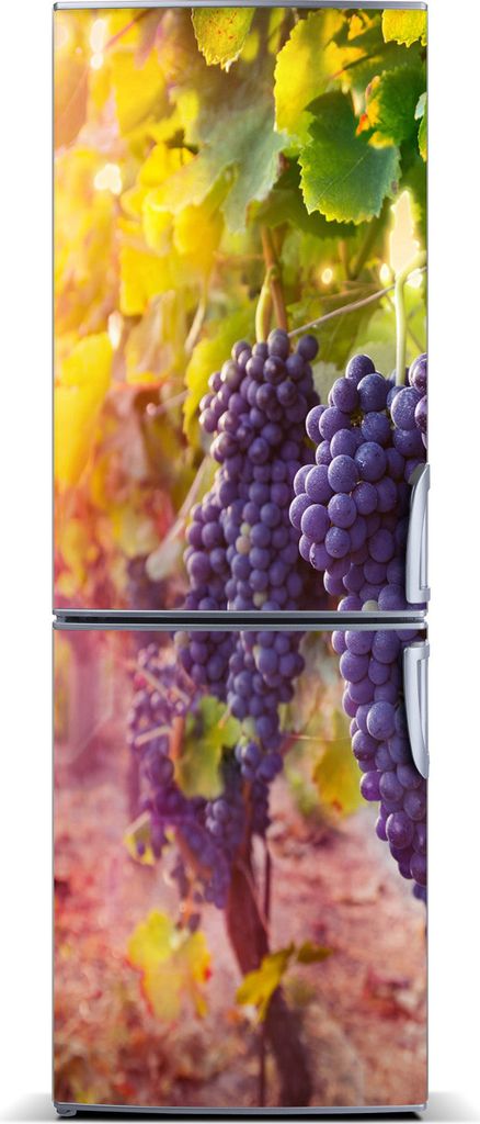 Tulup Kühlschrankdekoration - Magnetmatte - 60 cm x 180 cm - Magnet auf dem Kühlschrank - Vineyard Landschaften