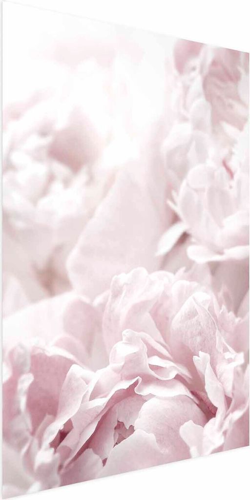 Posterpapier Poster - Fluffy Peonies 29.7x42 cm Blumen b-B-0340-ao-a